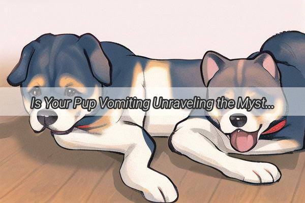 Is Your Pup Vomiting Unraveling the Mystery Behind Your Dogs Hairball Woes